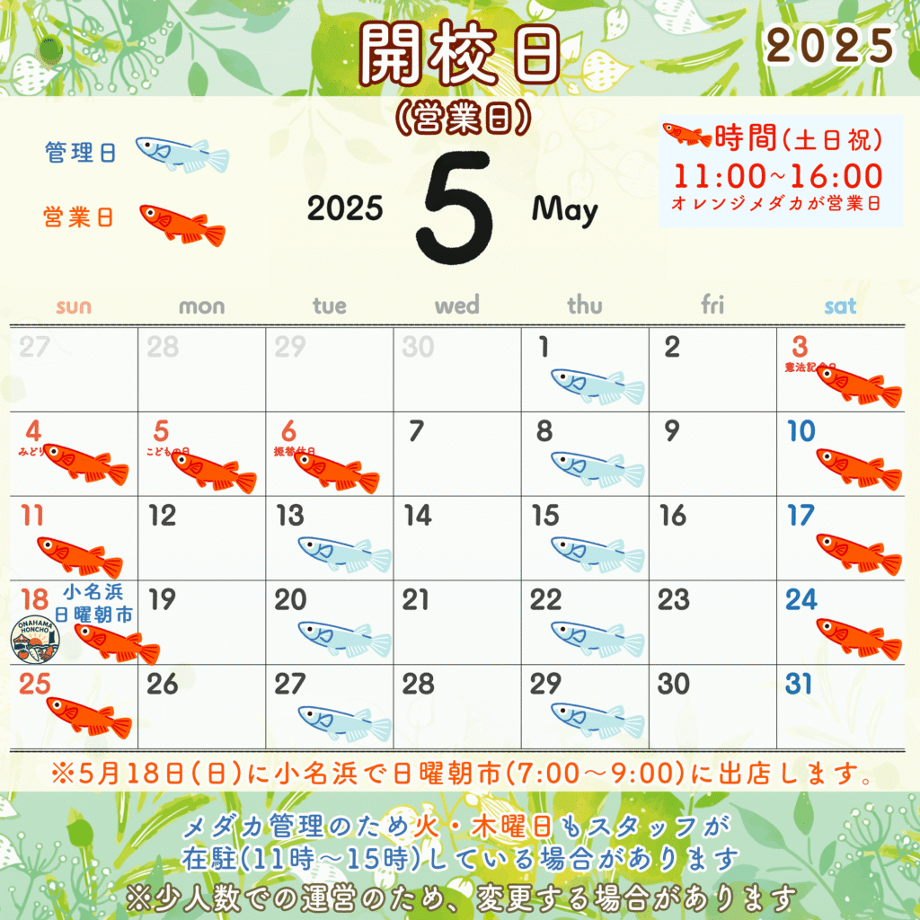 5月の開校(営業日)情報