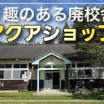 なおなお軍曹 いわきメダカの学校